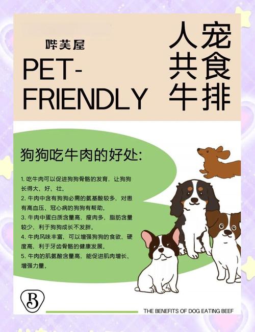 狗狗可以吃水煮牛肉嗎