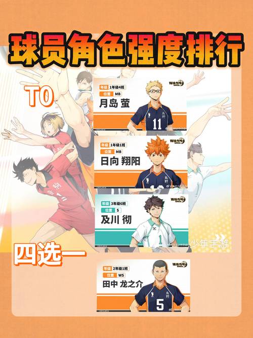 排球少年 學到什麼