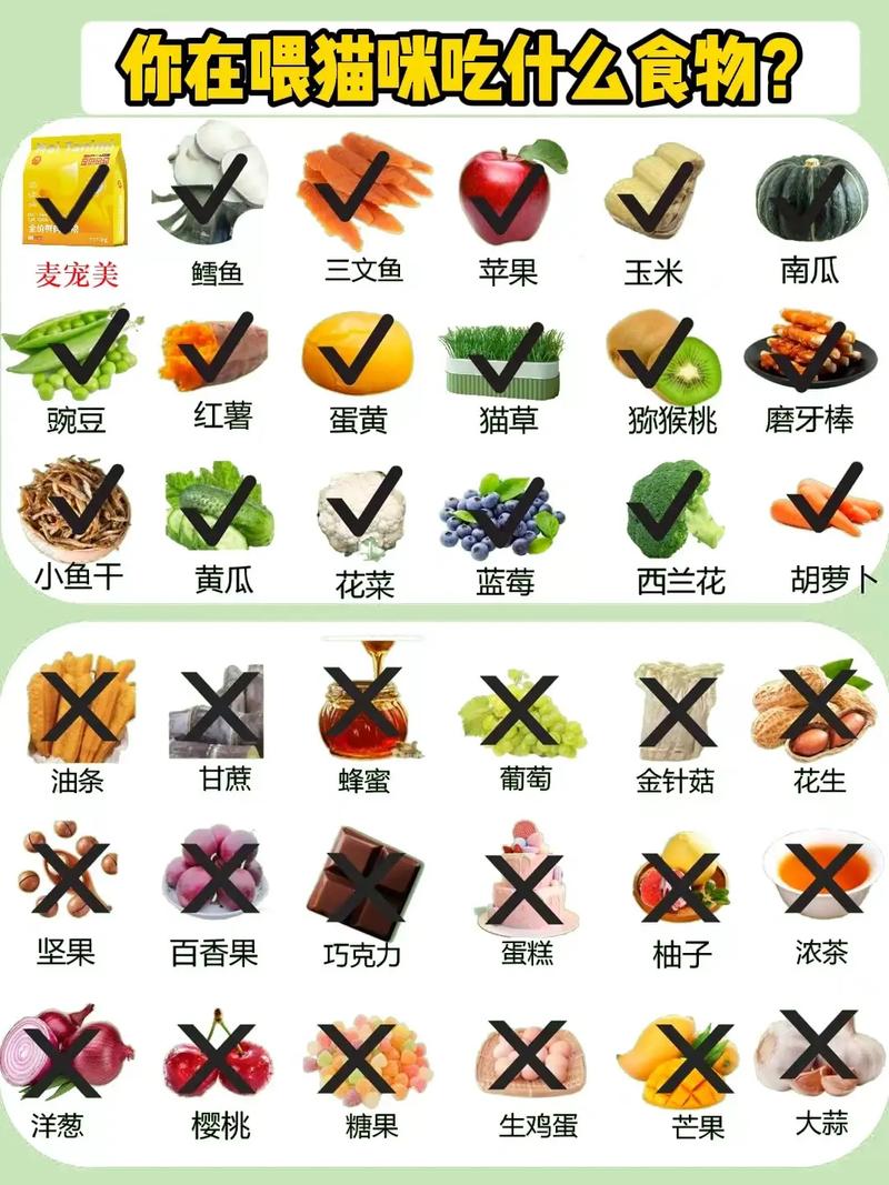 貓咪最喜歡吃什麼:揭秘貓主子的挑剔味蕾與健康飲食秘訣 3 貓咪最喜歡吃什麼