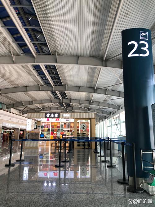 酷航成田機場第幾航廈