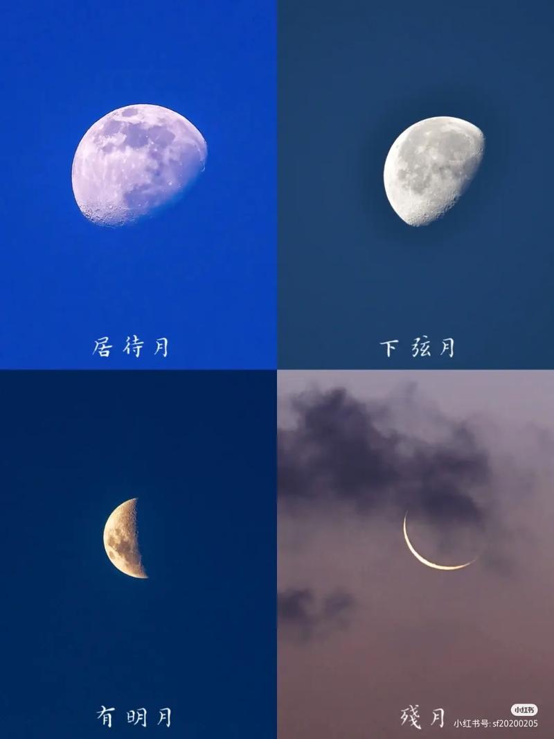上弦月亮哪邊