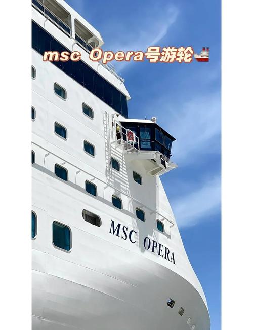 什麼叫郵輪式公車