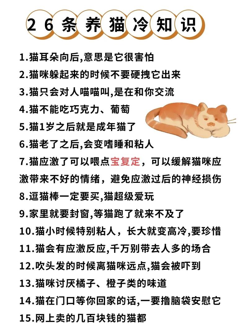 貓咪耳朵往後是什麼意思