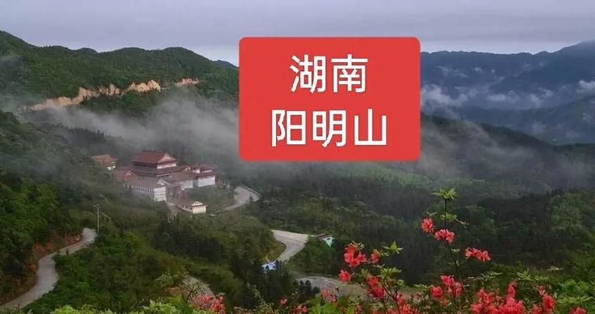 陽明山上叫的到車嗎