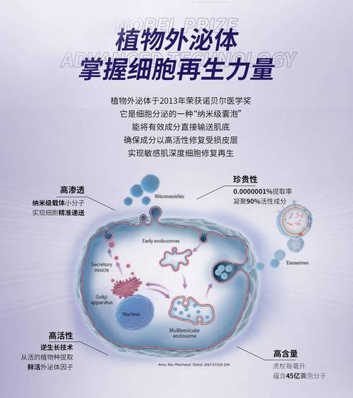 外泌體哪裡來
