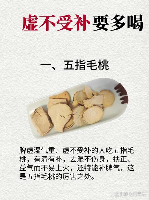 身體太虛怎麼補