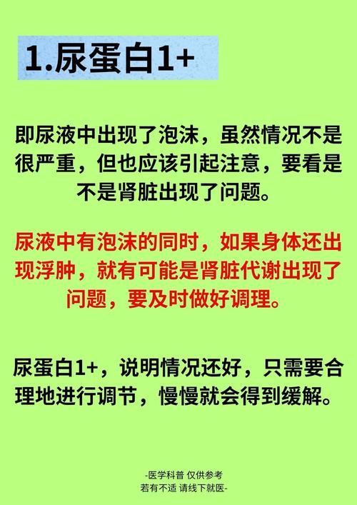 蛋白為什麼水水的:深入解析蛋白質稀薄的各種原因與解決之道 3 蛋白為什麼水水的