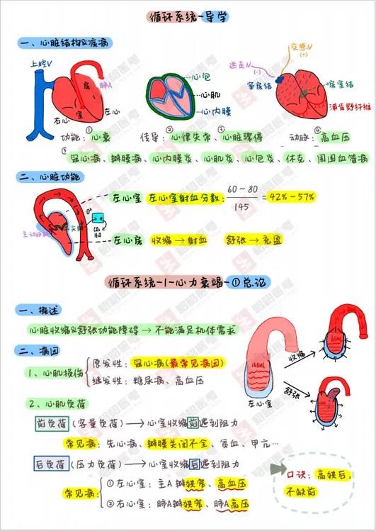 如何令血液循環