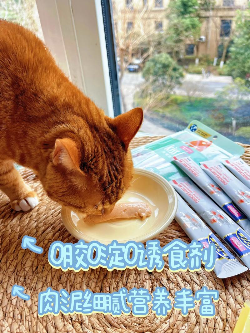 嘉寶雞肉泥貓可以吃嗎