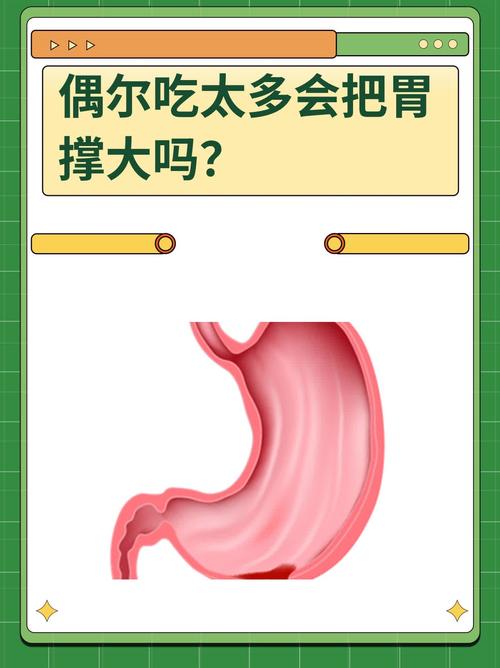 保健食品吃太多會怎樣嗎