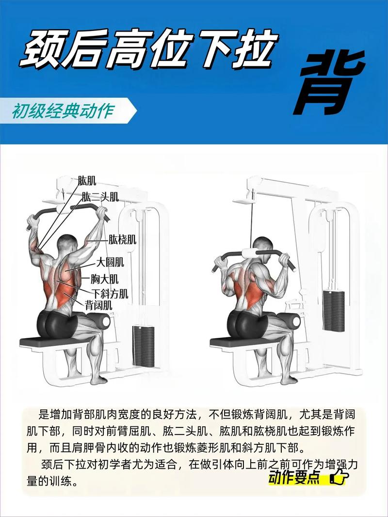 如何快速增加肌肉