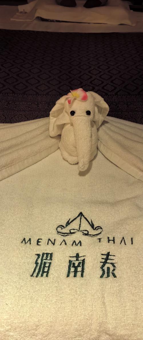 泰國飯店有提供盥洗用品嗎