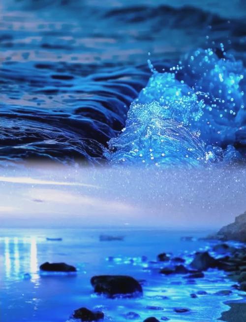 為什麼藍眼淚是藍色:深入解析夜光藻發光原理、馬祖奇景與觀賞指南 1 為什麼藍眼淚是藍色