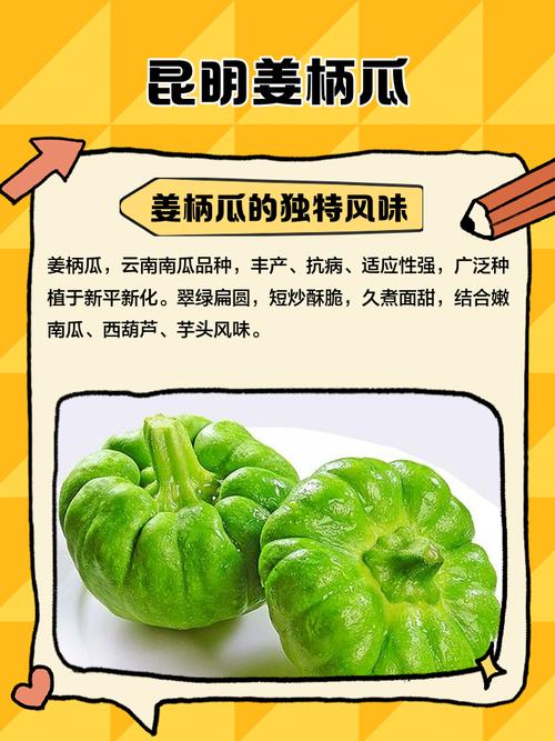 櫛瓜如何保存:從室溫到冷凍,讓你的櫛瓜保持鮮甜的完整指南 3 櫛瓜如何保存