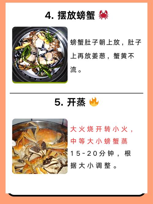 螃蟹怎麼來的:從遠古演化到生命週期,揭秘甲殼類動物的起源與奧秘 3 螃蟹怎麼來的