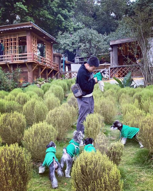 高雄帶狗狗去哪裡