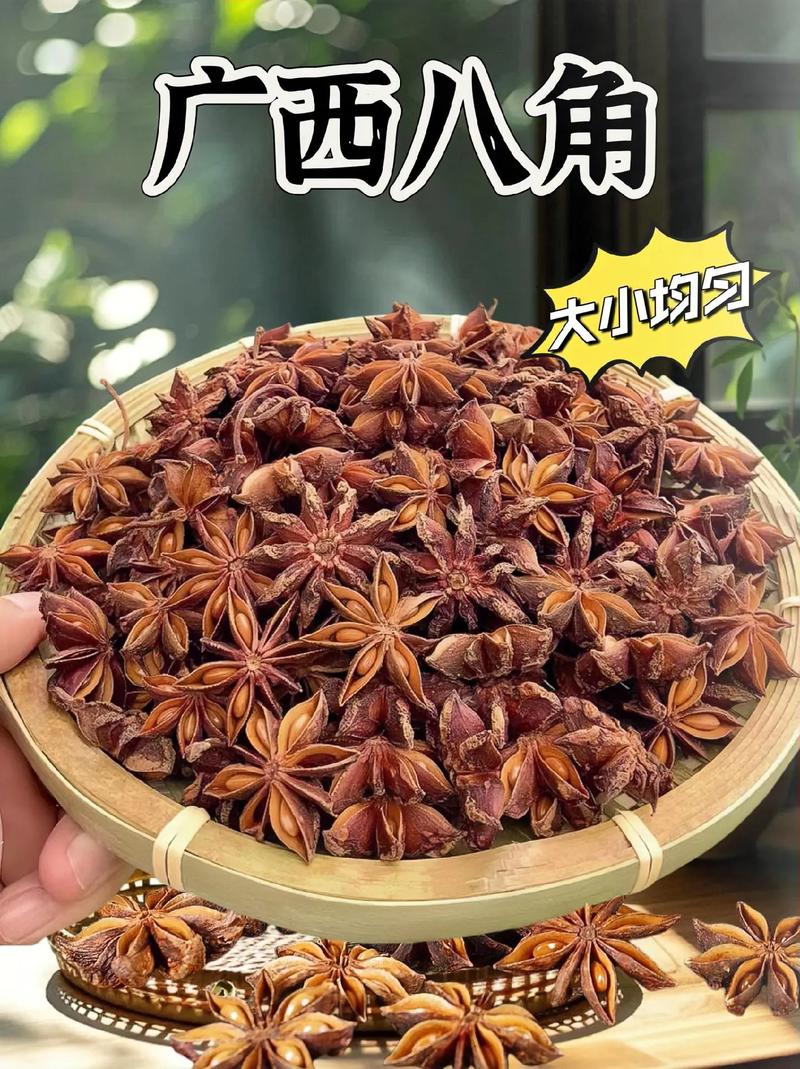 八角會致癌嗎:深入探討八角的安全性、健康益處與正確使用指南 1 八角會致癌嗎