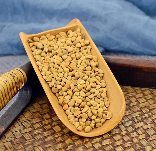 牽牛花可以吃嗎