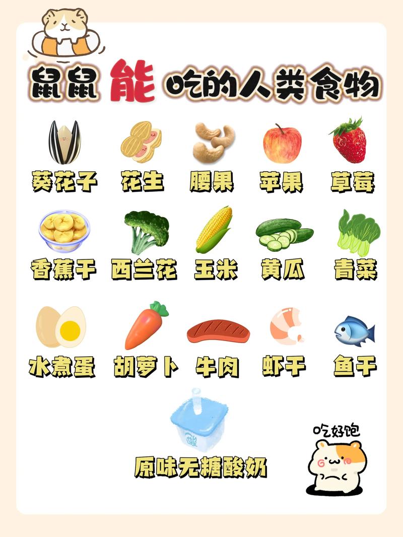 倉鼠可以吃米蟲嗎