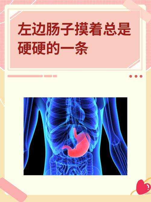 腸子幾公分?探索人體消化道奧秘與健康關鍵 1 腸子幾公分