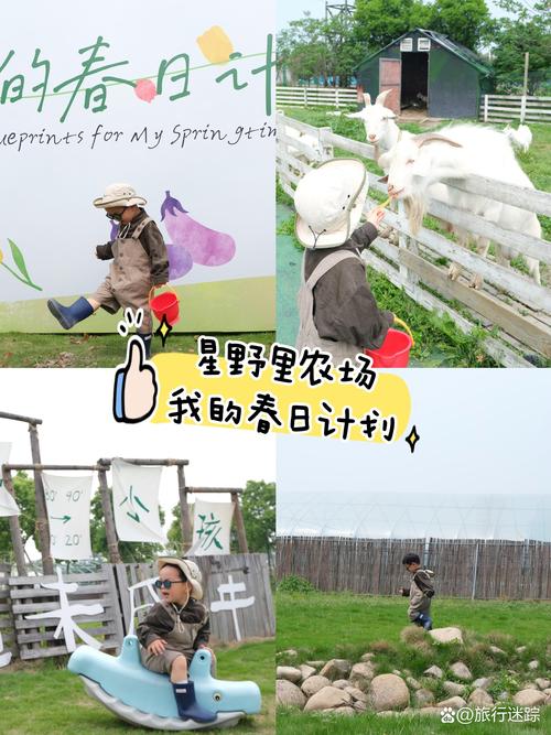 恩愛農場怎麼去:最新交通指南與賞櫻攻略 1 恩愛農場怎麼去