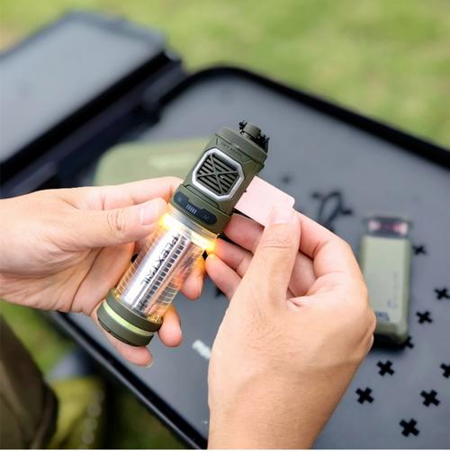 防蚊掛片有毒嗎