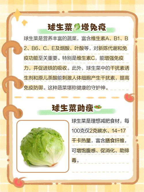 生菜有什麼益處