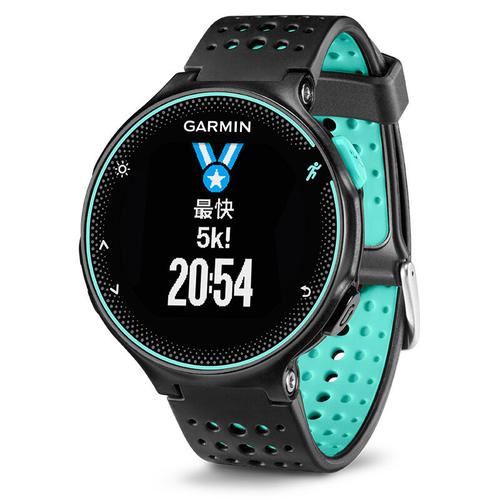 garmin是系統廠嗎