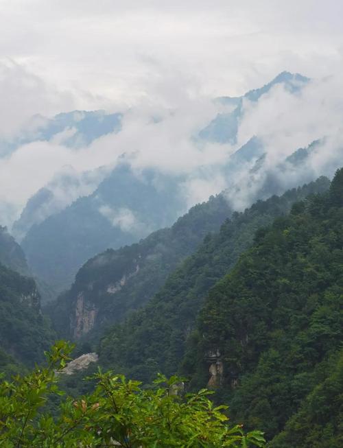 神農架海拔幾高