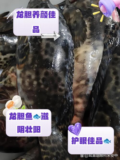 龍膽石斑蒸多久