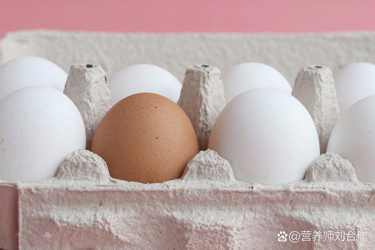 木崗雞蛋是籠飼嗎