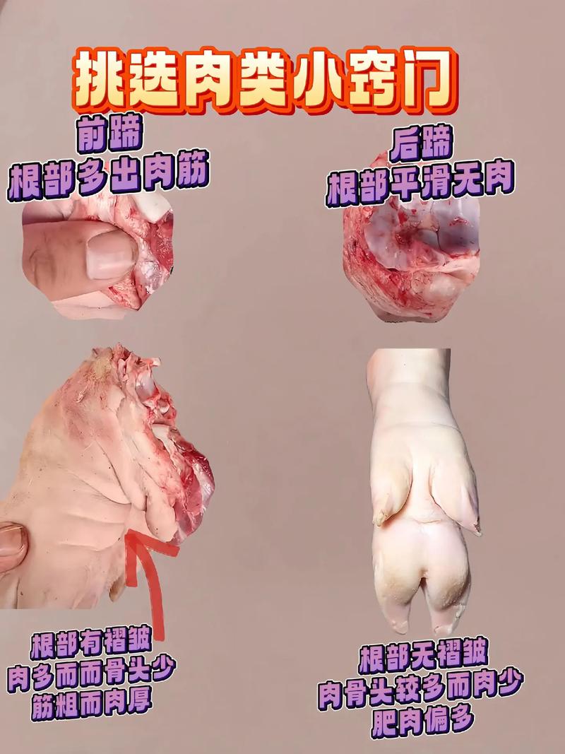如何選豬腳