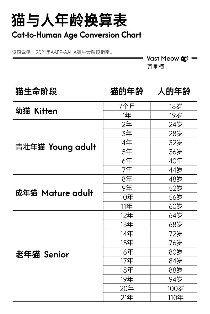 貓咪三歲等於人類幾歲 - 深入解析貓齡換算與照護重點 3 貓咪三歲等於人類幾歲