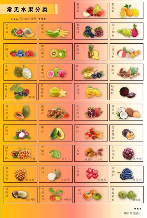 有什麼顏色的水果