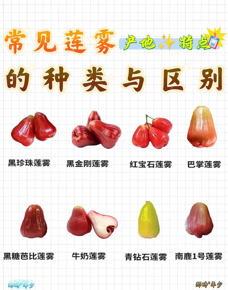 蓮霧裂開可以吃嗎:專家詳解安全疑慮、食用判斷與保存之道 1 蓮霧裂開可以吃嗎