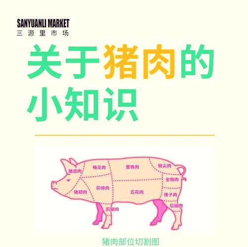 為什麼叫五花肉