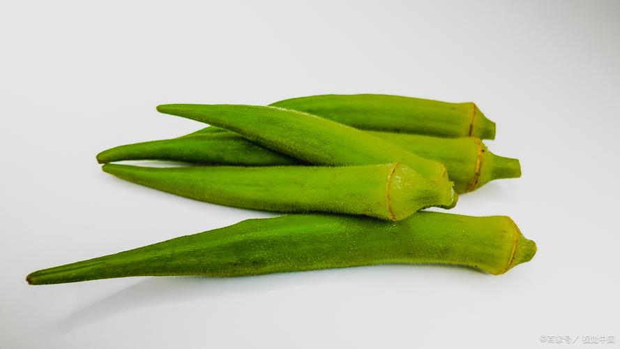 秋葵台灣叫什麼