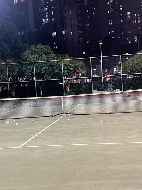 網球為什麼在室外:解析戶外網球的設計、優勢與挑戰 3 網球為什麼在室外
