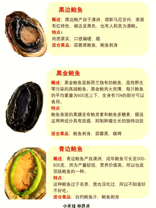 鮑魚點分幾頭鮑魚等級、大小與品質的終極指南 3 鮑魚點分幾頭