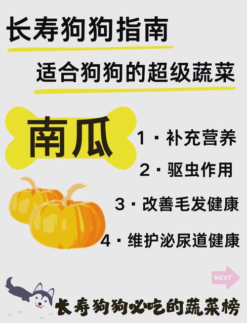 狗狗不能吃哪些蔬菜?避免毛孩中毒的蔬菜黑名單與安全飲食指南 1 狗狗不能吃哪些蔬菜