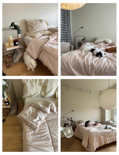 暖床:寒冬中的溫暖儀式與現代智慧解決方案 1 暖床