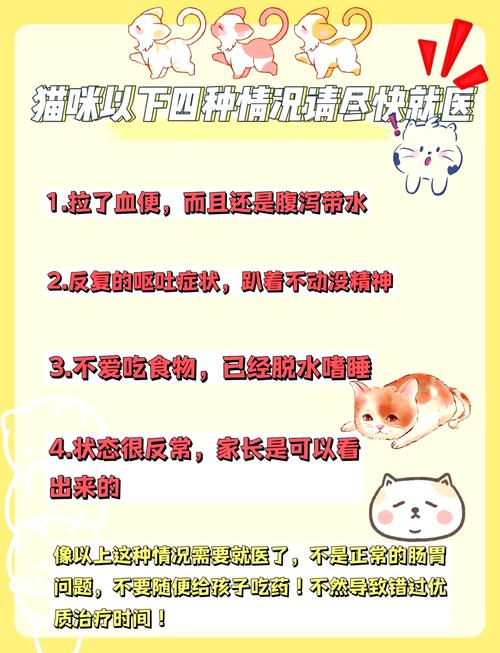 貓咪益生菌幾天吃一次