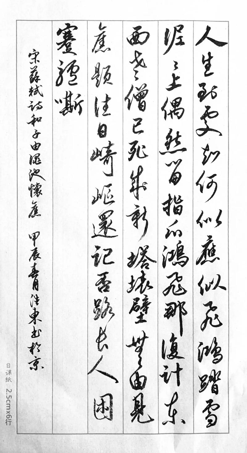 鴻飛哪復計東西