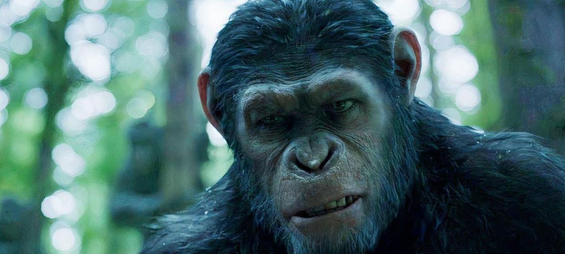 猩球崛起4 諾亞是誰