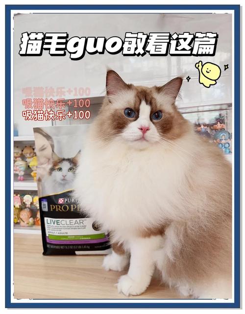 養什麼貓不會過敏