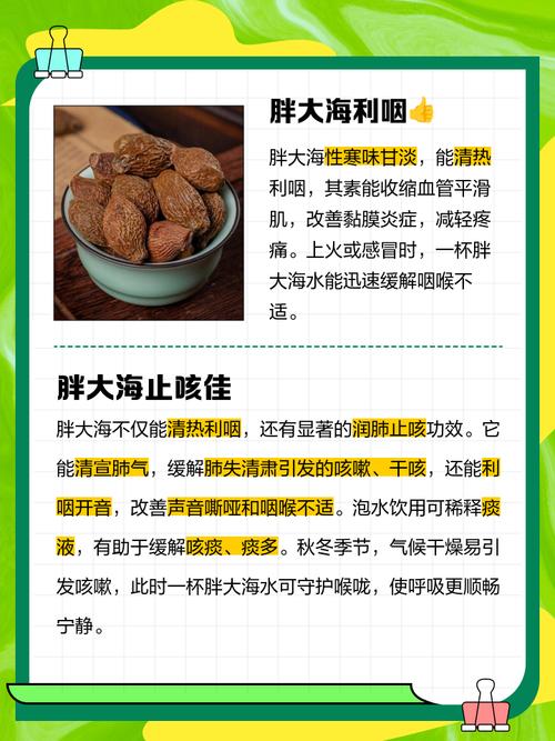 胖大海有什麼功效