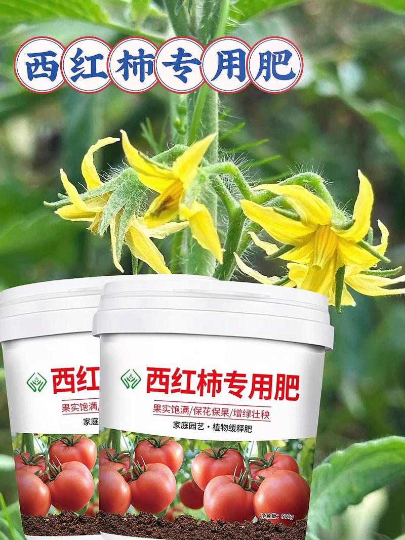 番茄要施什麼肥料才會甜