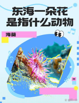 海葵是斷裂生殖嗎