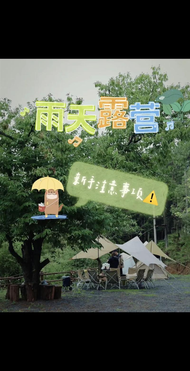 下雨天露營怎麼辦:裝備、安全與樂趣不減的雨天野營指南 1 下雨天露營怎麼辦
