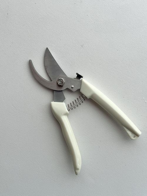 種樹需要什麼工具